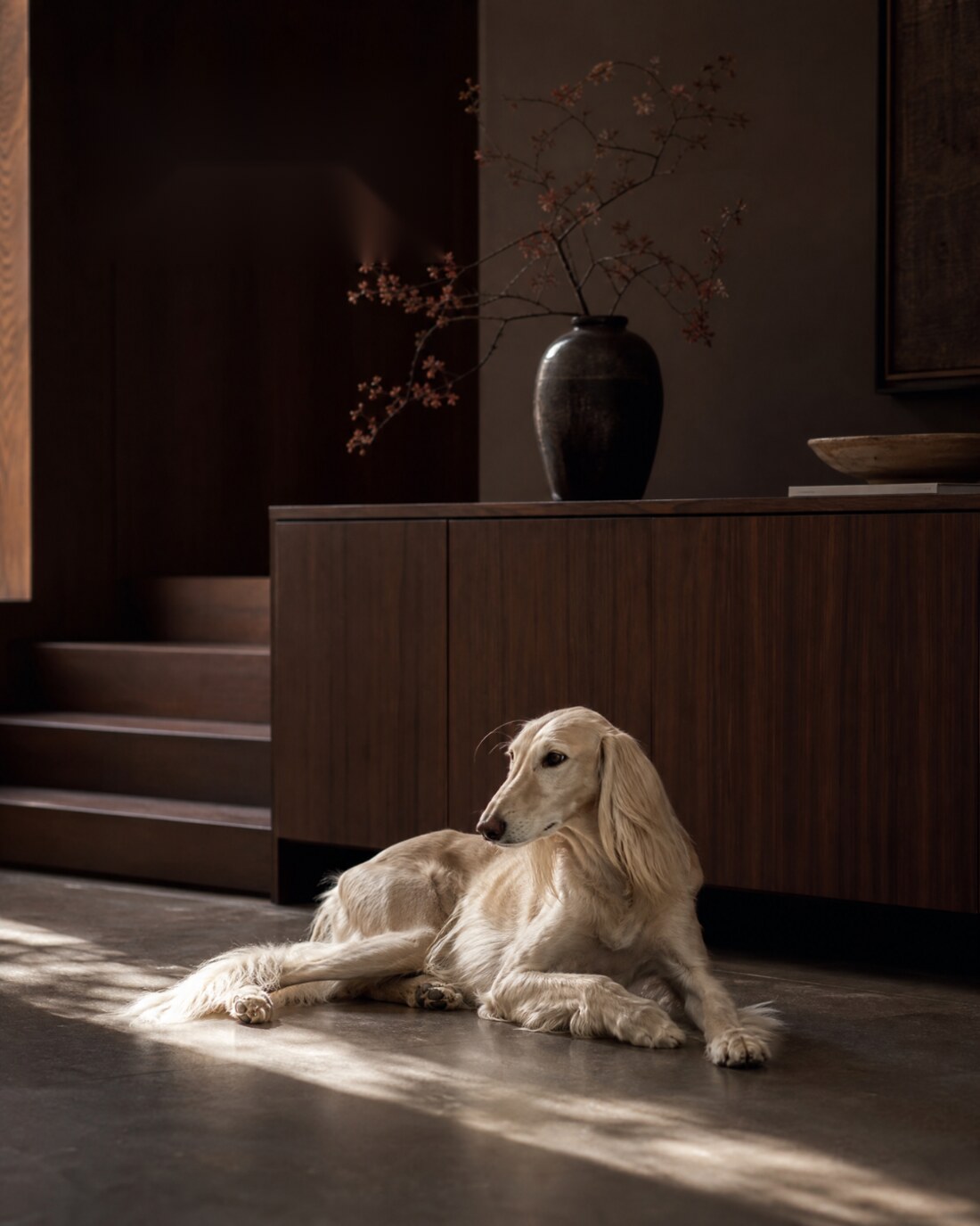 Exclusive Dog Care Marbella