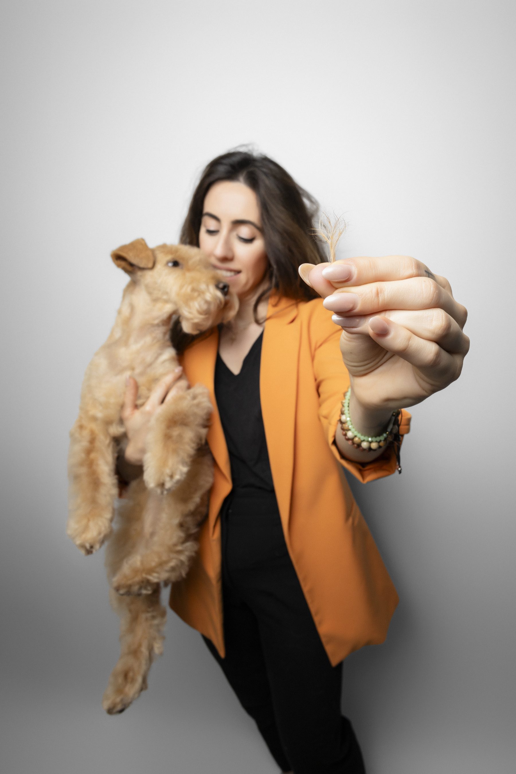 Exclusive Dog Care — Hand Stripping